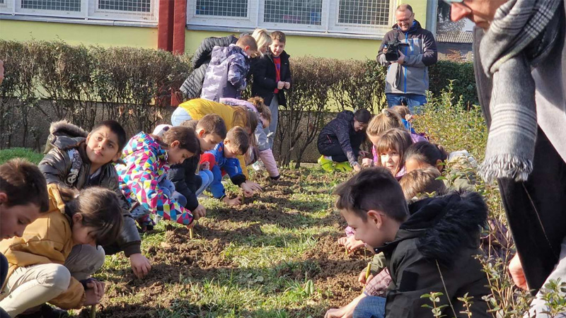 SBB Fondacija donirala je 5.000 sadnica gradu Valjevu